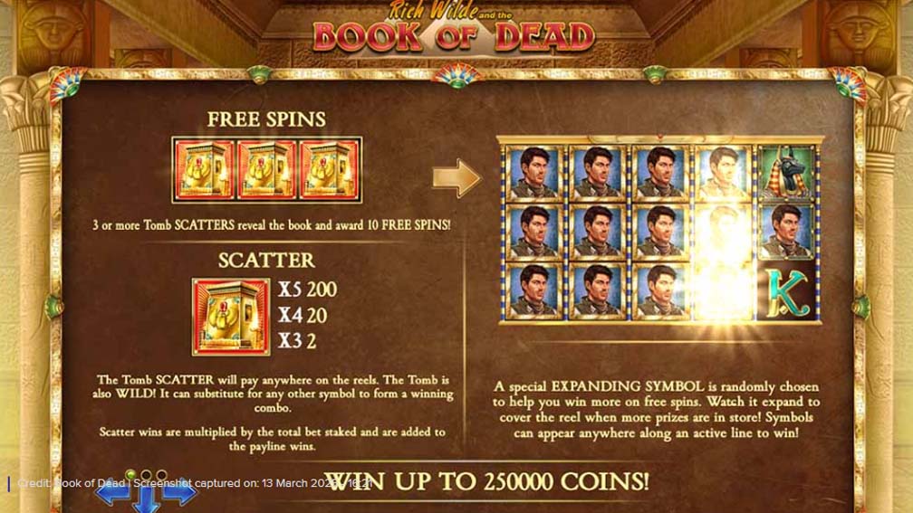 Book Of Dead slot screenshot free spins and scatter