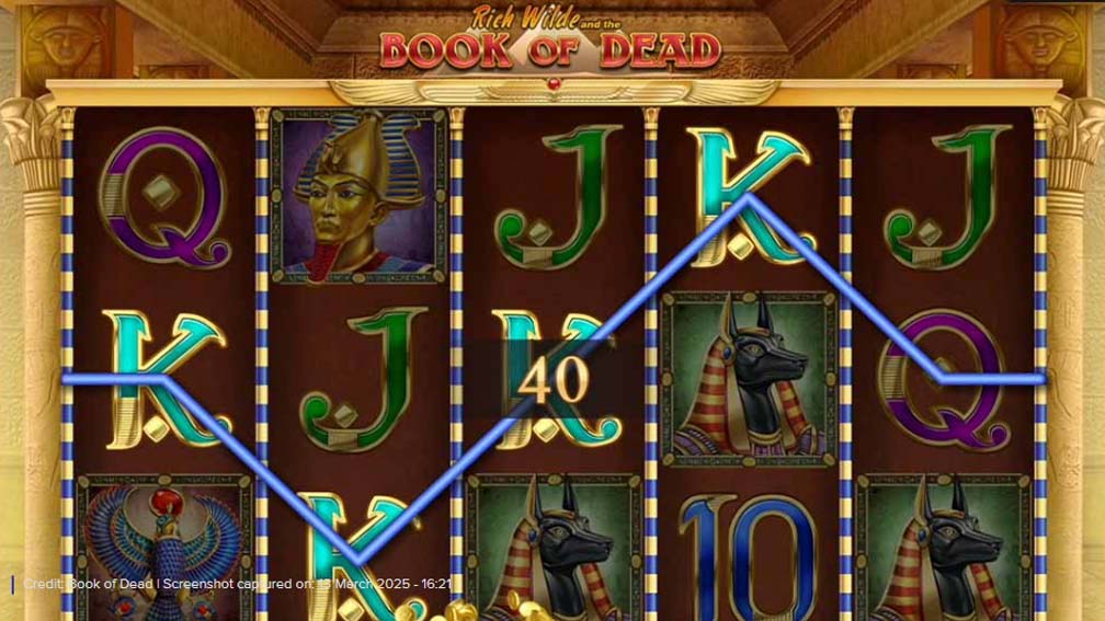 Book Of Dead slot screenshot game win 2