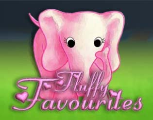 Fluffy Favourites