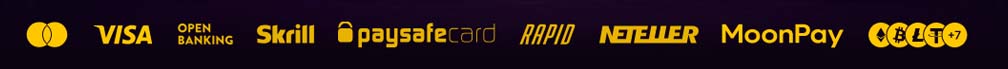 iWild casino payment methods screenshot