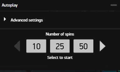 Mega Fortune slot screenshot autoplay